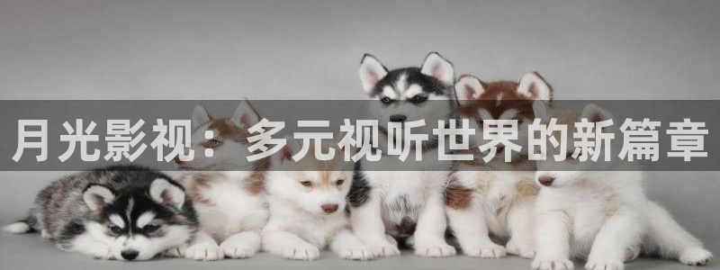 月光影视：多元视听世界的新篇章