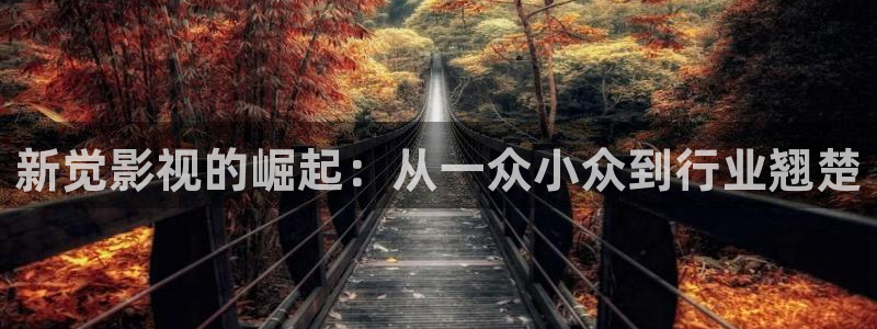 新觉影视的崛起：从一众小众到行业翘楚
