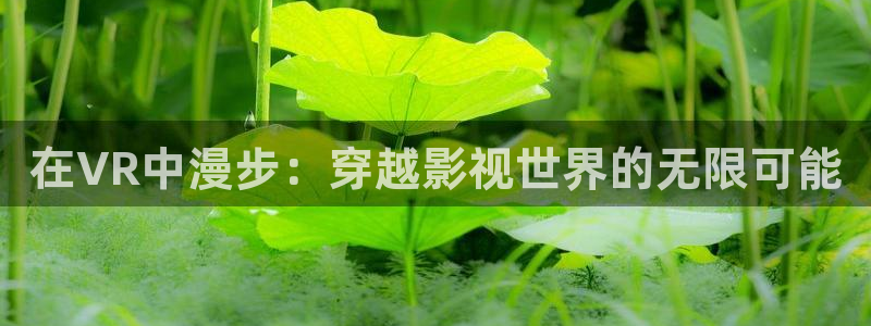在VR中漫步：穿越影视世界的无限可能