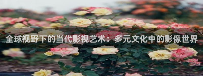 全球视野下的当代影视艺术：多元文化中的影像世界