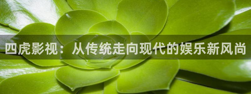 四虎影视：从传统走向现代的娱乐新风尚