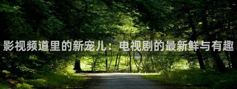 影视频道里的新宠儿：电视剧的最新鲜与有趣