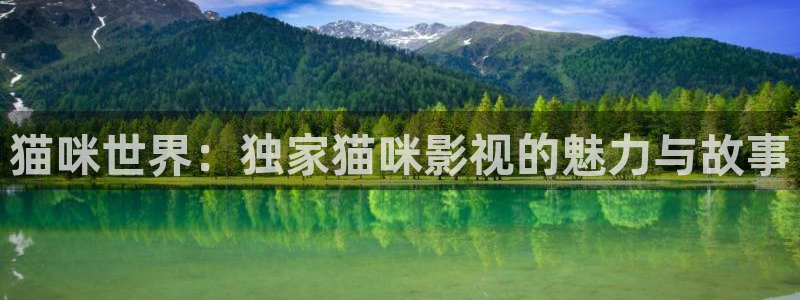 猫咪世界：独家猫咪影视的魅力与故事