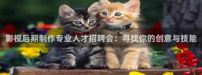 影视后期制作专业人才招聘会：寻找你的创意与技能
