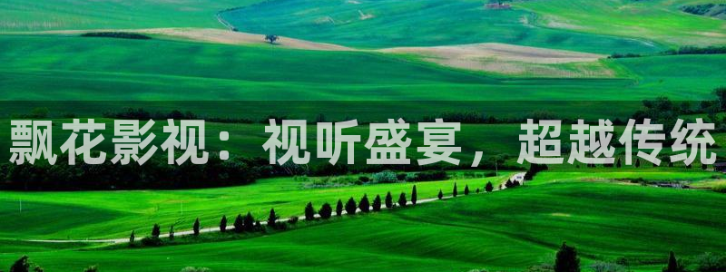 飘花影视：视听盛宴，超越传统