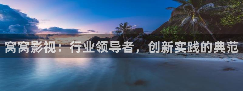 窝窝影视：行业领导者，创新实践的典范